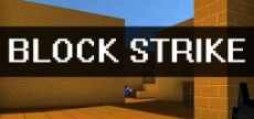 block strike logo_300x200